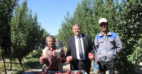 Isparta’da dalında 2,5 liraya kadar alınan elmanın büyük marketlerde 7-8 lira arasında satılmasına tepki