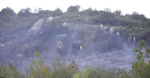 Bucak’taki orman yangını kontrol altına alındı