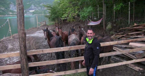 Artvin’de ölüme terk edilen atlara barınak bulunamayınca genç turizmci tesisini açtı