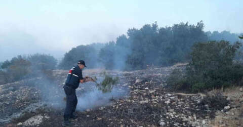 Korkutan orman yangını 5 saatte kontrol altına alındı