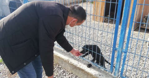 Hayvan Bakımevi ve Rehabilitasyon Merkezi sokak hayvanlarına ev sahipliği yapıyor
