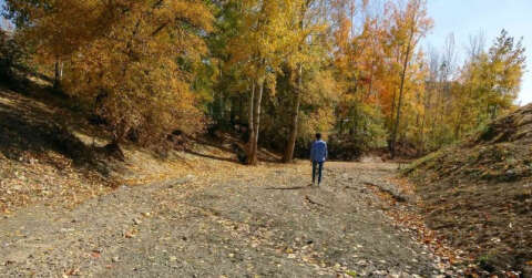 İlkbaharda gürül gürül akan dere yatağı şimdi yol olarak kullanılıyor