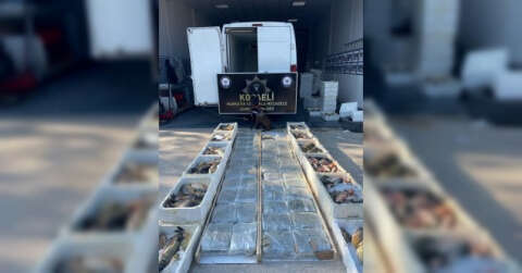 Balık yüklü araçta 53 kilo skunk esrar ele geçirildi