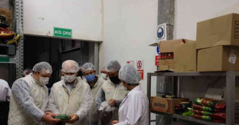 100 kişinin hastanelik olmasının ardından jet denetim: 5 yemek fabrikasına ceza yağdı