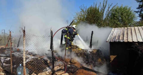 Antalya’da saman dolu ağılda yangın: 15 koyun telef oldu