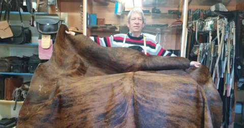 (Özel) Dana derisi halılar ev ve iş yerlerini süslüyor