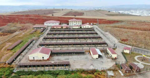 Bu barınak 5 yıldızlı otelleri aratmıyor