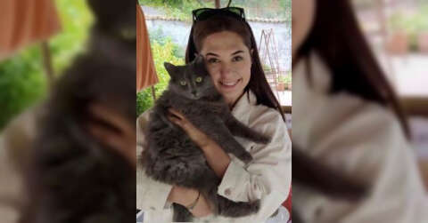 Genç doktorun kahreden ölümü: Kedisini kurtarmaya çalışırken düşüp öldü
