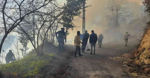 Trabzon’un Sürmene ilçesinde bahçe temizliği orman yangınına neden oldu