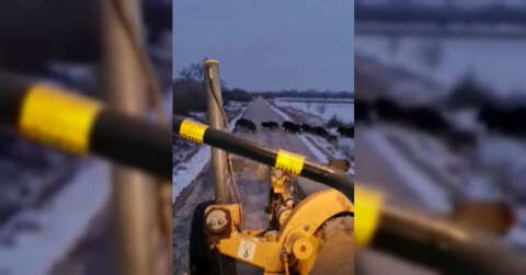 Kar temizleme çalışması yapan greyderi gören domuz sürüsünün kaçış anı kamerada
