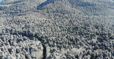 Bolu’nun karla kaplı ormanları havadan görüntülendi