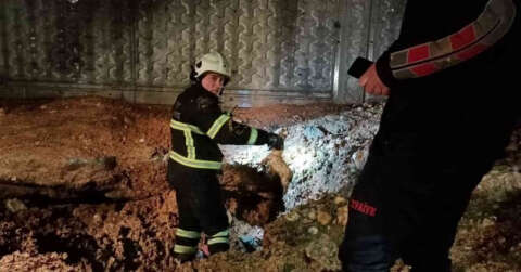 Siirt’te çukura düşen köpek ve 13 yavrusu kurtarıldı