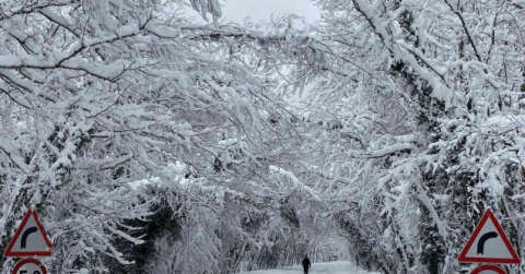 Ağaç Tünel eşsiz kar manzaraları sundu