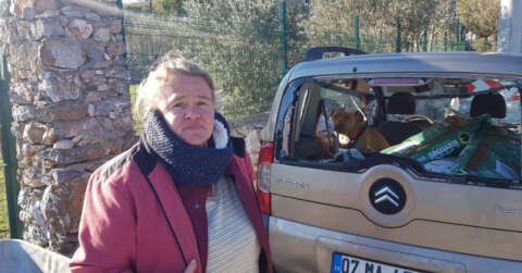 Hayvansever Alman kadının içinde köpeği bulunan aracını sopalar ve taşlarla parçaladılar