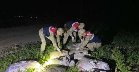 Muradiye’de kaçak avlanmış 6,5 ton balık ele geçirildi