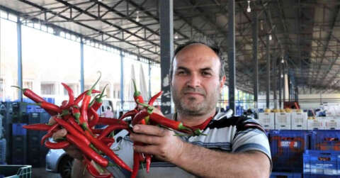 Havaların ısındığı Antalya halinde sebze fiyatları geçen haftalara göre yarı yarıya düştü