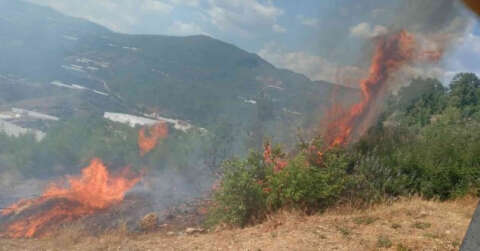 Alanya’da tarım arazisinde başlayan yangında 10 dönüm zarar gördü