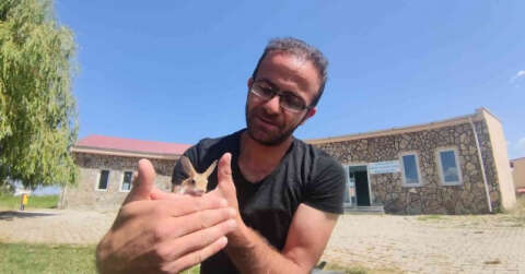 Annesiz kalan yavru Arap tavşanlarına polis sahip çıktı