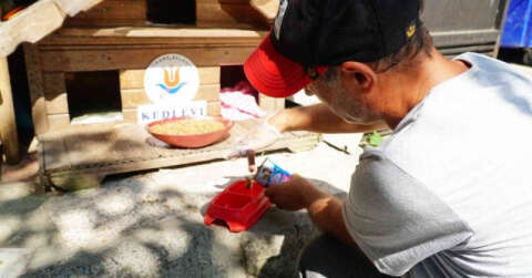 Kağıthane’de 10 bin sokak hayvanı tedavi ve muayene edildi