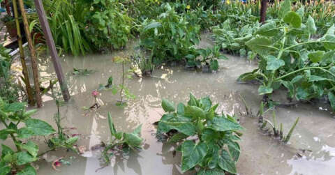 Beypazarı’nda evleri ve ekili araziyi sel vurdu