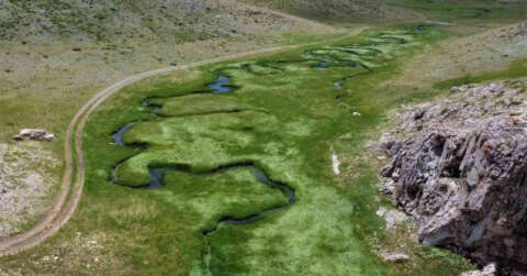 Her yerde yaz, orada bahar