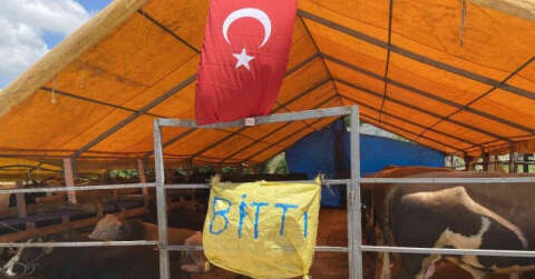 Kurbanlıkların büyük bölümü satıldı, satıcılar çadırlara ‘ Bitti’ yazısı astı