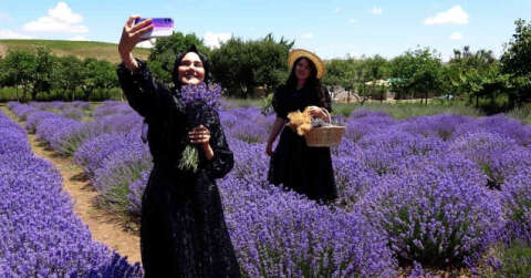 Yozgat’ta lavanta bahçesi doğal stüdyo alanına döndü