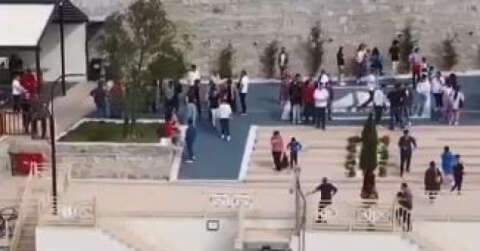 Baraj gölünde yüzen ayı tekne turu ziyaretçileri tarafından görüntülendi