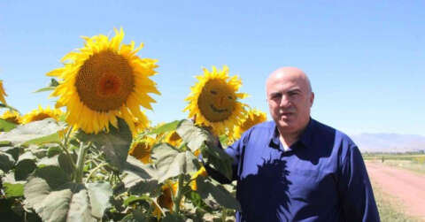 Karaman’da ayçiçeği ekimi yüzde 50 arttı