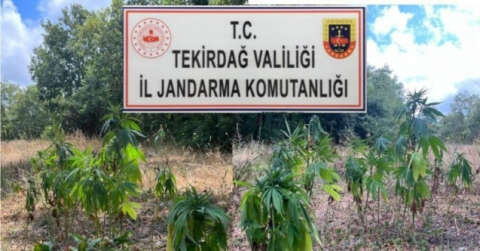 Tekirdağ’da uyuşturucu operasyonu: 1’i Gürcistan uyruklu 4 kişi tutuklandı