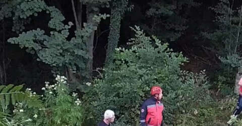 Yayla yolunda milyonluk kaza