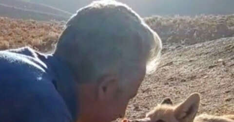 Tilkiyi elleriyle besleyip su verdi