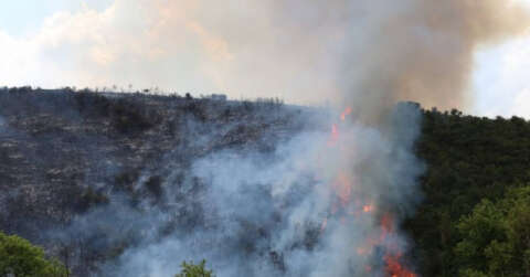 Kocaeli’de ormanlık alanda çıkan yangına müdahale sürüyor