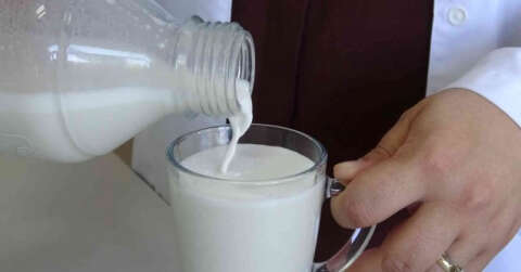 Hayvansal süte alternatif ‘bitkisel süt’