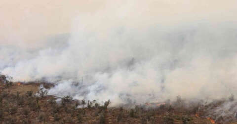 Hawaii’de çalılık alanda yangın: 9 bin 800 hektar alan kül oldu