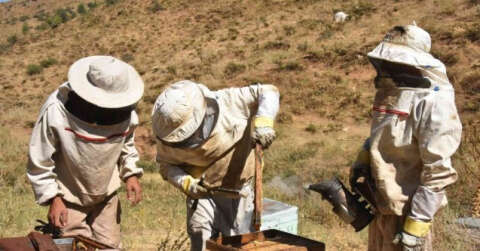 Bitlis balı Londra’da ‘Altın Bal’ yarışmasında birinci oldu