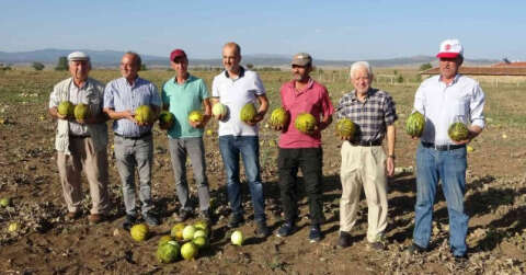 Kütahya’nın meşhur ’Terziler kavunu’ tezgahlardaki yerini aldı