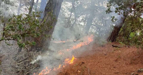 Amanos Dağları’na düşen yıldırım orman yangınına neden oldu