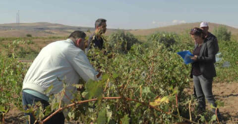 Selin hasarı gün ağarınca ortaya çıktı