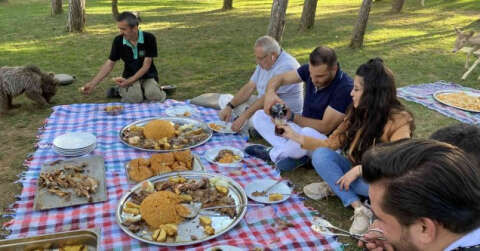 Çekmeköy’de yavru aslan ve ayıya şark sofrası kuruldu