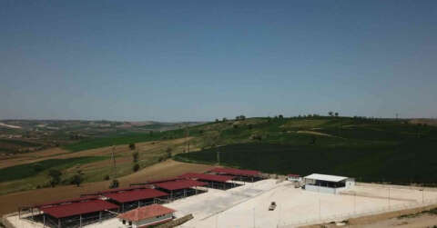 Havza’da canlı hayvan pazarı süresiz olarak kapatıldı