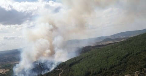 Gelibolu’daki orman yangını kontrol altına alındı