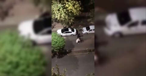 Siirt’te yol ortasında kadına şiddet kamerada