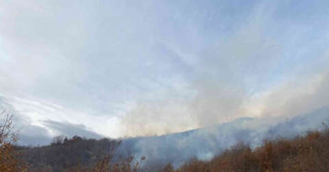 Tokat’ta ormanlık alanda çıkan yangın korkuttu