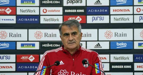 Şenol Güneş: "Brezilya gibi bir oyun istiyorum"