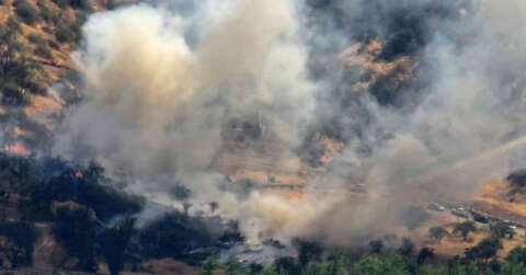 Şili’de orman yangınları artıyor: 7 bin hektardan fazla alan küle döndü