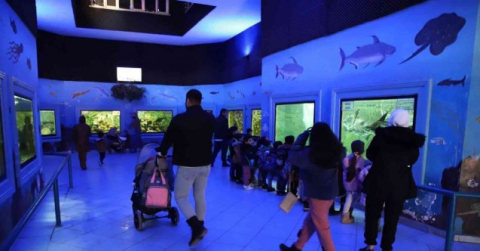 Gaziantep’te yırtıcı hayvanlar için safari park kurulacak