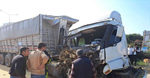 Köpeğe çarpmamak için ani firen yapınca tırlar çarpıştı