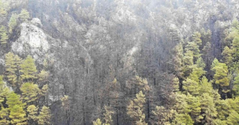 Alanya’da yanan ormanlık alan havadan görüntülendi