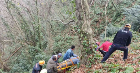 Muhtar, 100 metreden uçuruma düştü